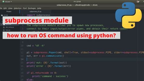 python subprocess run